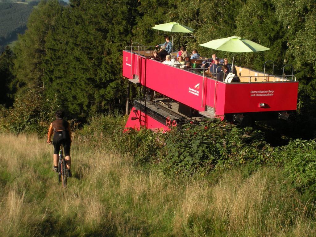 Flair-Hotel Waldfrieden Oberweißbach Екстериор снимка