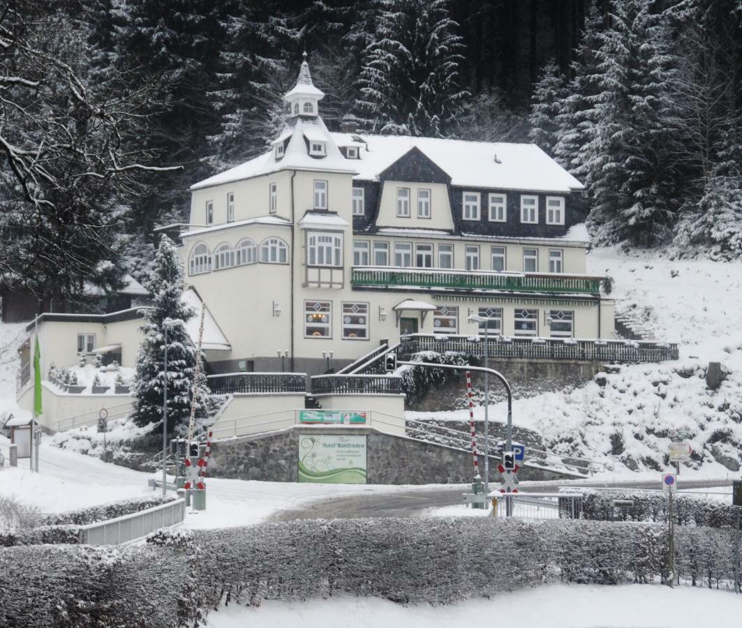 Flair-Hotel Waldfrieden Oberweißbach Екстериор снимка